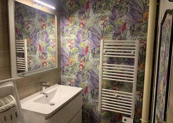 Lumineux T2 Avec Wi-fi Et Lave-linge, Centre - Fr-1-541-182 * 拉罗什波赛